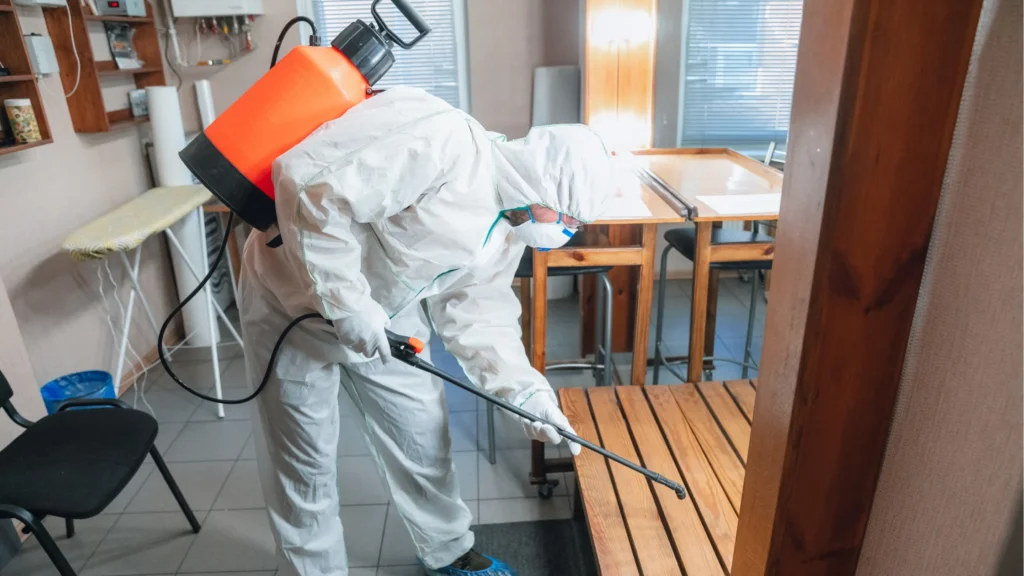 les-bons-gestes-à-adopter-pour-éviter-les-infestations-de-rats-et-de-souris